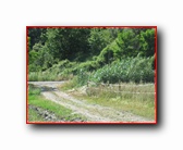 [Click to enlarge]
